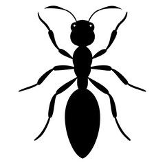 Ant Silhouette Vector