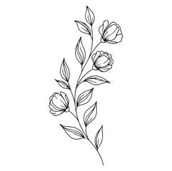 Elegant Floral Line Art | Minimal Black Vector Illustration. ai generator