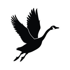 Elegant silhouette of a goose in mid flight against a clean white background