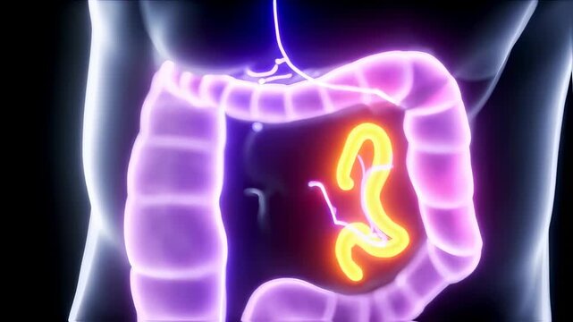Detailed 3D Animation of Human Digestive System for Medical and Healthcare Concepts