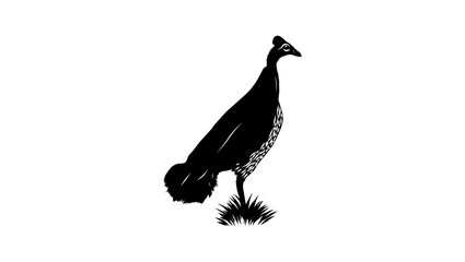 Maleo bird , black isolated silhouette