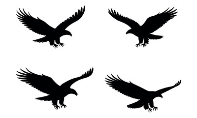 Obraz premium Eagle flying with wings spread black silhouette in dynamic motion 