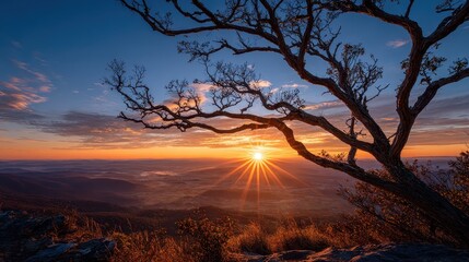 Majestic Sunrise Mountain View Tree Silhouette Golden Hour Landscape