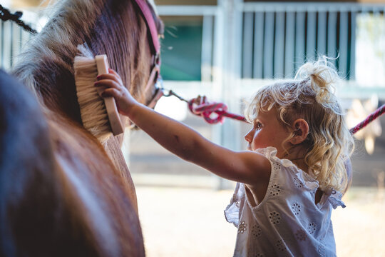 little girl child taking care of her horse, combing and cleaning, show of bonding and affection - Powered by Adobe