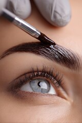 Eyebrow Tinting with Natural Henna Dye for Beautiful 20s Woman