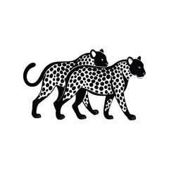 Dynamic duo of two leopards walking side by side their heads turned towards the viewer