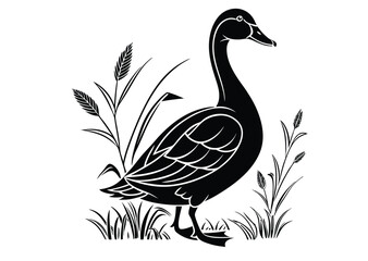 Fototapeta premium Collection of black duck silhouettes in various poses isolated on a white background