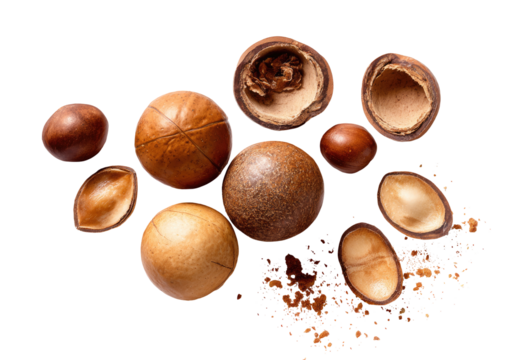 Macadamia nuts scattered, some broken open, on dark background