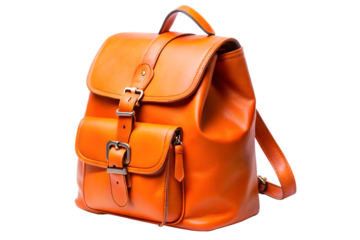 A juicy orange slice, showcasing its vibrant segments and refreshing texture, isolated on white isolated on transparent background