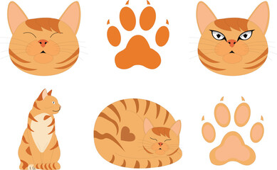 Cute Orange Tabby Cat Illustration Set with Various Poses and Expressions