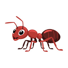 Ant vector illustration on white background.