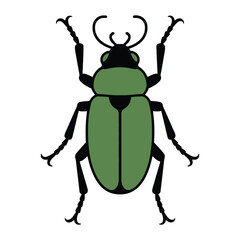 Beetle vector illustration on white background.