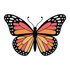 Butterfly vector illustration on white background.