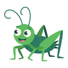 Cricket vector illustration on white background.
