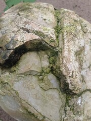 Old concrete surface on sandy beach in the sandy beach