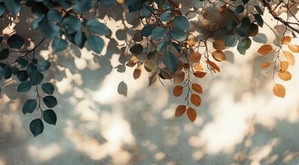 Leaves cast shadows on a wall