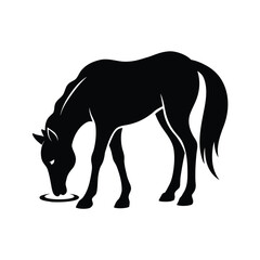 Elegant silhouette of a horse drinking water on a clean white background