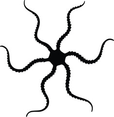 Silhouette brittle star marine animal underwater wildlife vector illustrator