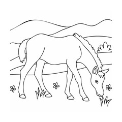 Young horse grazing in a grassy field with flowers