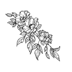 Bouquet of flowers with petals, buds and leaves, black and white sketch. vector illustration. Sprig of rosehip, isolated on background. Theme of spring, summer, for birthday, wedding, textile decor