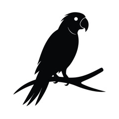 Elegant parrot perched on a branch silhouette in vivid cmyk colors