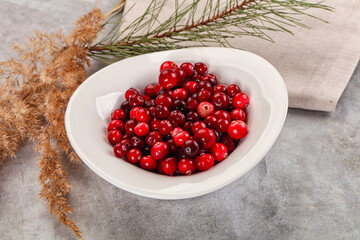 Ripe sweet sour cranberry heap