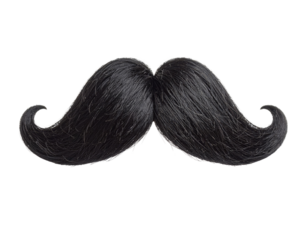 A detailed, curly black mustache with fine hair texture and upward curled ends.