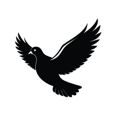 Obraz premium Silhouette of a pigeon in flight with wings spread against a clean white background