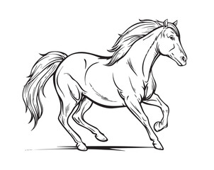 a horse on a white background