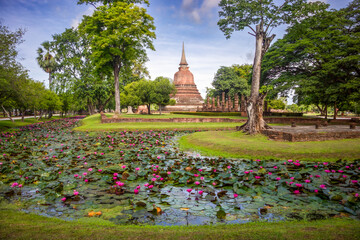 View of Wat Chana Songkhram temple in the distance with a pond filled with blooming water lilies in...