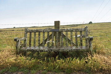 Old bench in UK countryside with foliage growing through it.