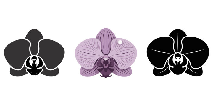 Orchid flower collection featuring phalaenopsis and dendrobium types silhouette vector, orchid silhouette, orchid svg, orchid png, orchid illustration, orchid, silhouette flower, floral svg, herb