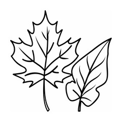 Maple and oval leaves outline leaf