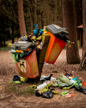 Overflowing Dog Waste Bin