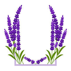 Fototapeta premium bouquet of lavender flowers