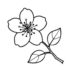 Delicate flower with leaves blossom petals