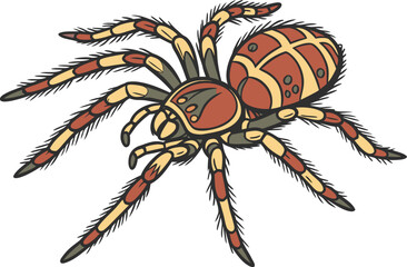 Realistic colorful spider illustration with detailed legs and vibrant gradient tones for nature and insect artwork. Realistic colorful spider drawing with lifelike details and bright rainbow colors