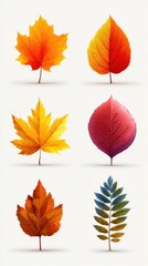 Vibrant autumn leaves in various colors and shapes displayed on a neutral background