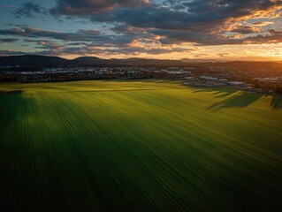 Aerial view of a field at sunset