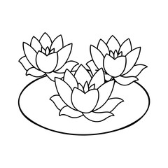 Three blooming water lilies on a pond water lily lotus