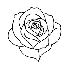 Single black outline rose bloom flower
