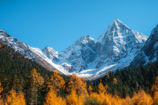 Bipenggou national park with the Beautiful  snow mountains in autumn, Chengdu ,Sichuan in China.