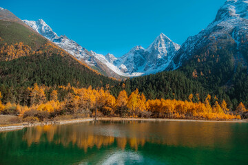 Bipenggou national park with the Beautiful  snow mountains in autumn, Chengdu ,Sichuan in China.