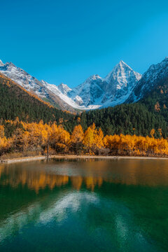 Bipenggou national park with the Beautiful  snow mountains in autumn, Chengdu ,Sichuan in China.