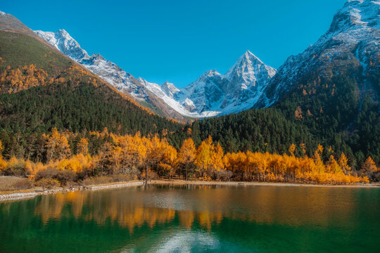 Bipenggou national park with the Beautiful snow mountains in autumn, Chengdu ,Sichuan in China.