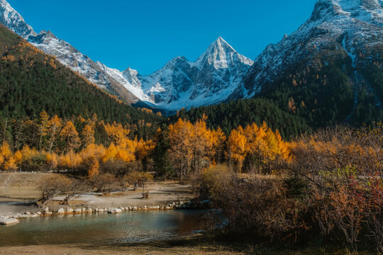 Bipenggou national park with the Beautiful  snow mountains in autumn, Chengdu ,Sichuan in China.