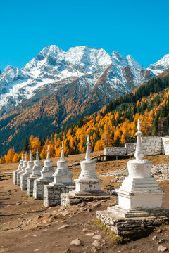 Mount Siguniang national park with the Beautiful  snow mountains in autumn, Chengdu ,Sichuan in China.