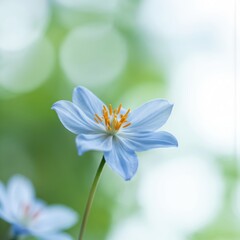 Blue irises flower blooms in full color against green leaves. Vibrant petals stand out amidst foliage. Central positioning and blurred green background convey motion and depth.