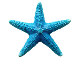  Blue starfish isolated on white background PNG.AI Generated.