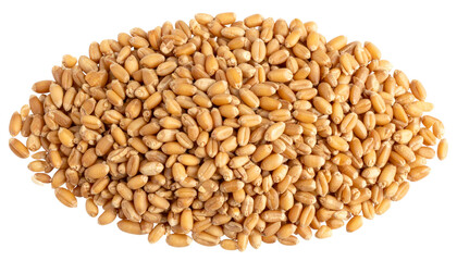 Fototapeta premium pile of raw wheat seeds natural texture isolated on transparent background 